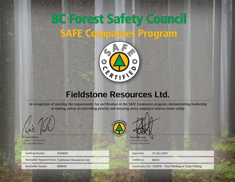BC Tree planting Company Safety