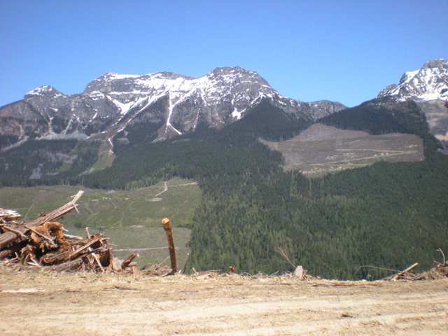 Planting Jobs In BC and an example of the daily workload